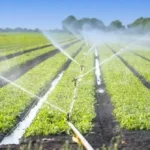 Irigasi dan Pengaruhnya pada Ekonomi Pertanian