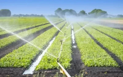 Irigasi dan Pengaruhnya pada Ekonomi Pertanian