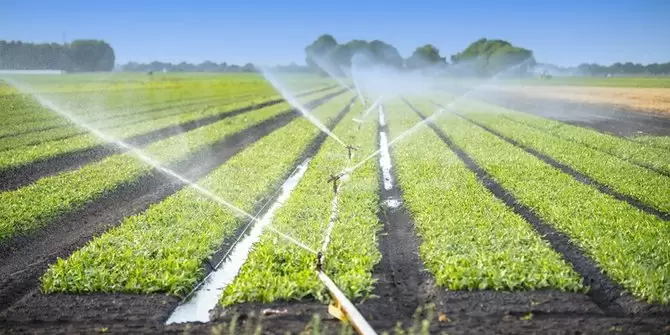 Irigasi dan Pengaruhnya pada Ekonomi Pertanian